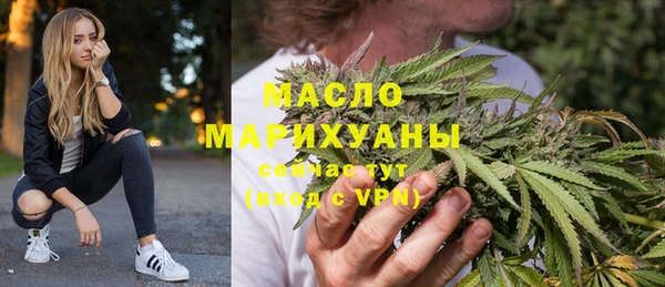 дурь Няндома