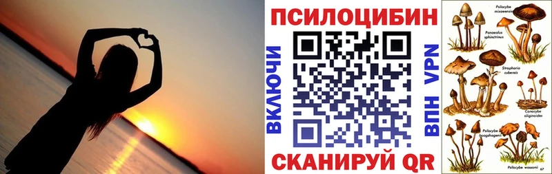 Псилоцибиновые грибы прущие грибы  купить   Агрыз 